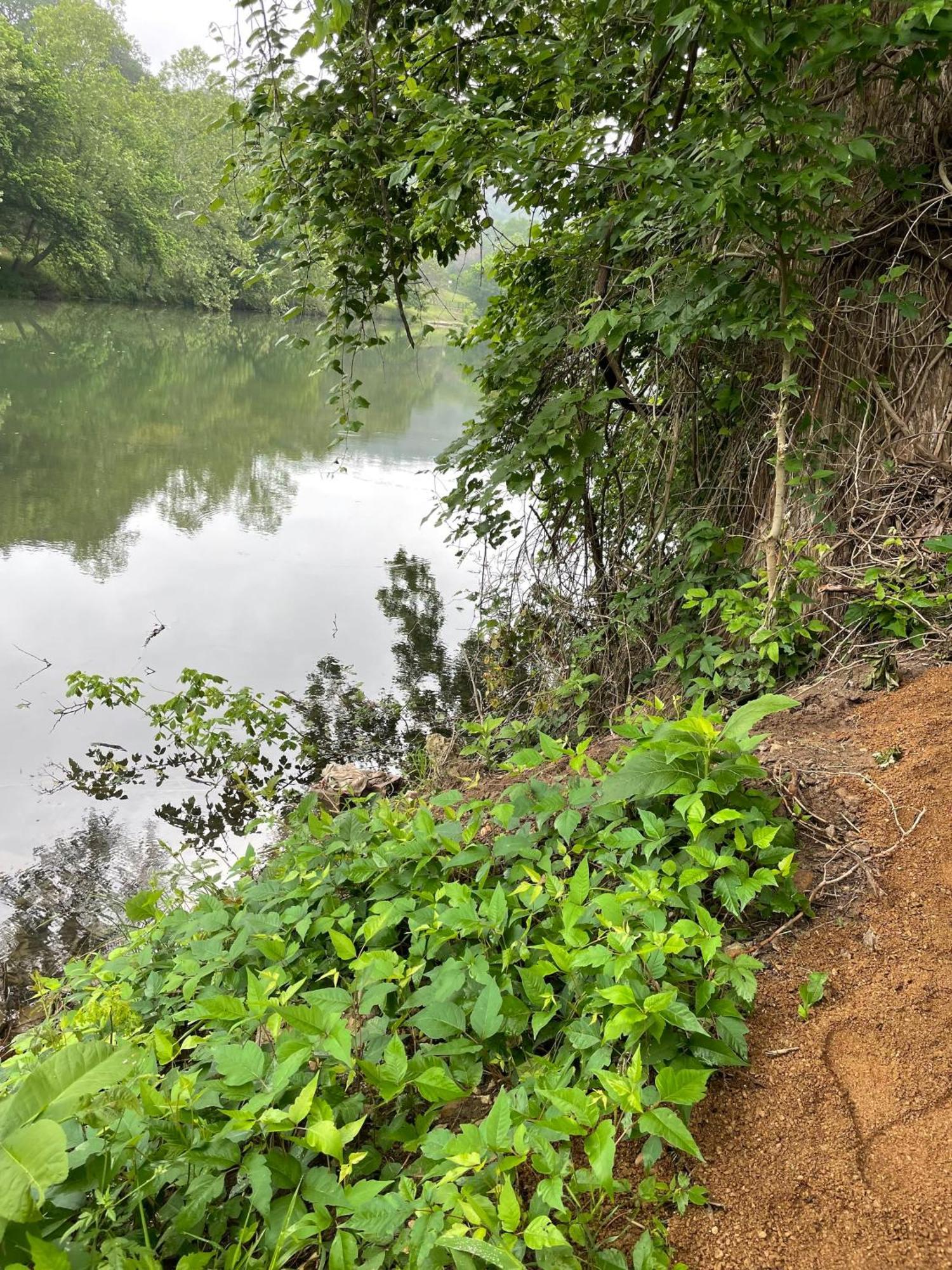 Pet Friendly Tiny House Rental With New Access To Guadalupe River Nbtx New Braunfels Kültér fotó