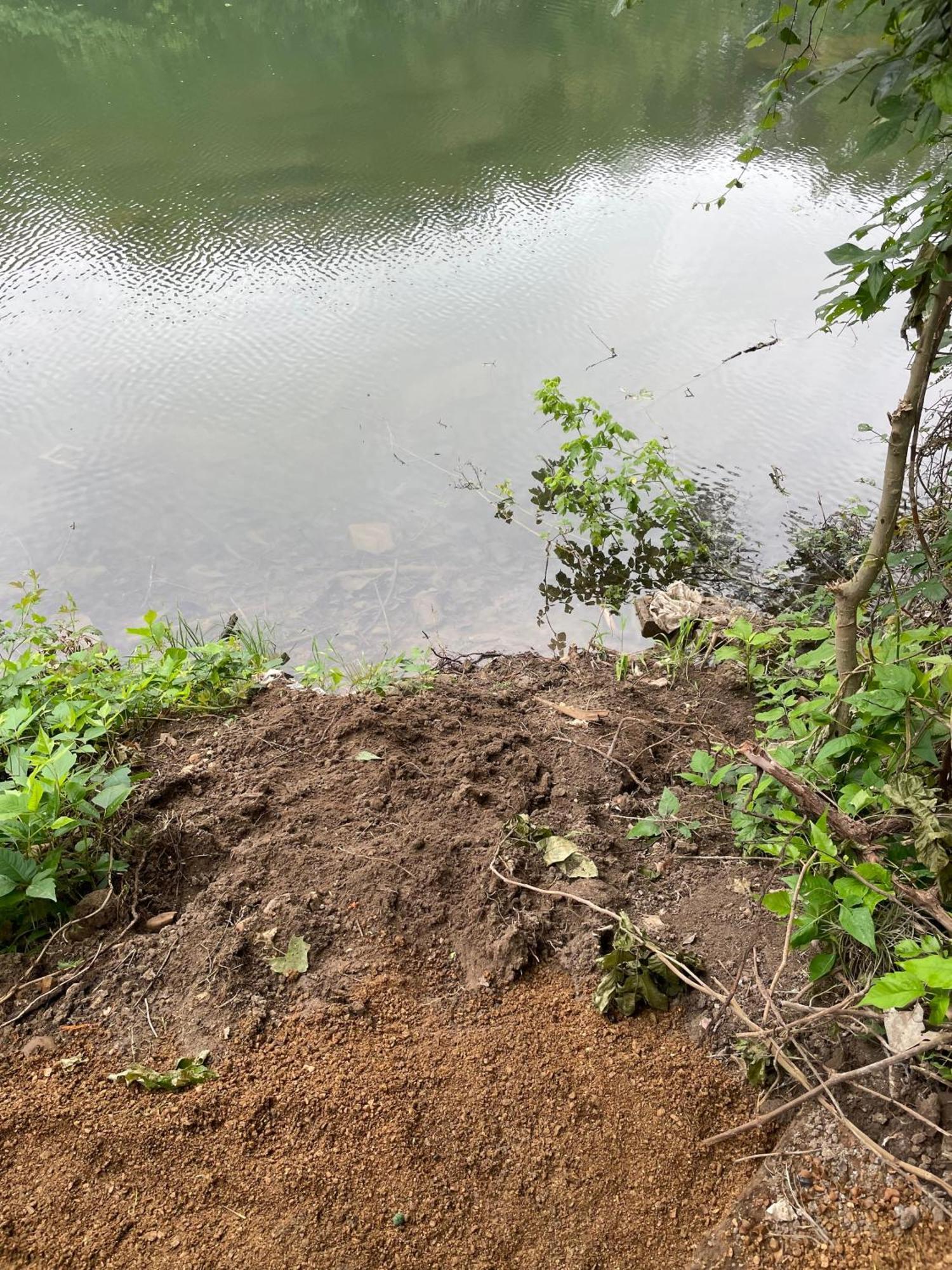 Pet Friendly Tiny House Rental With New Access To Guadalupe River Nbtx New Braunfels Kültér fotó