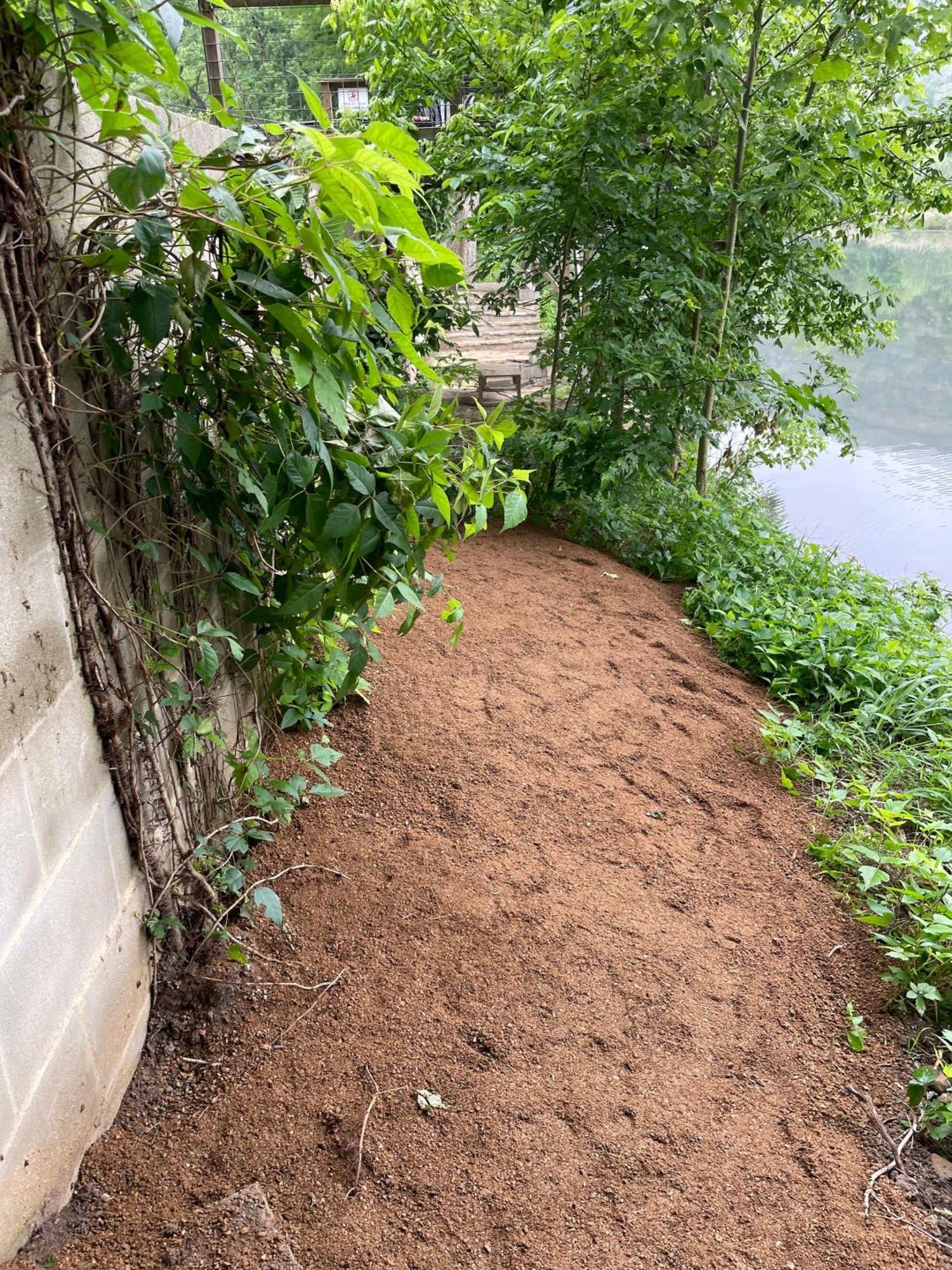 Pet Friendly Tiny House Rental With New Access To Guadalupe River Nbtx New Braunfels Kültér fotó