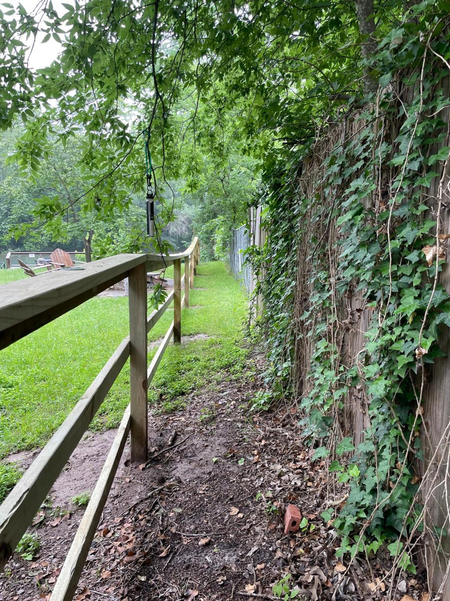 Pet Friendly Tiny House Rental With New Access To Guadalupe River Nbtx New Braunfels Kültér fotó