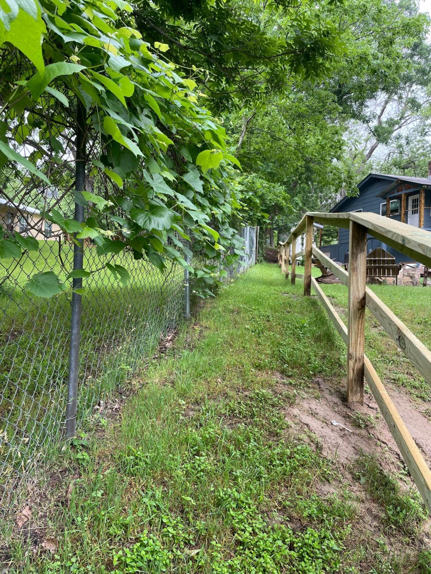 Pet Friendly Tiny House Rental With New Access To Guadalupe River Nbtx New Braunfels Kültér fotó
